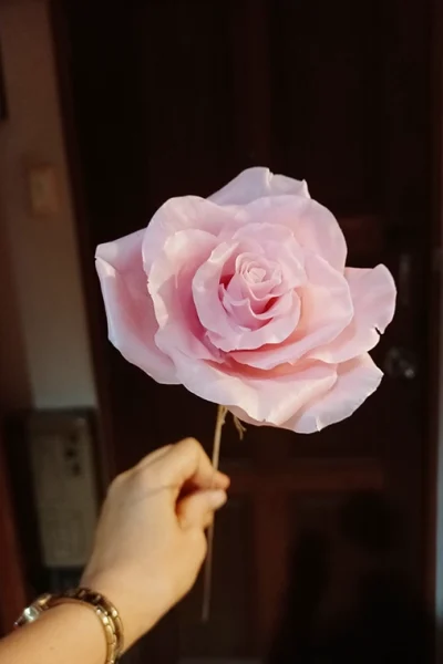 Rose-4